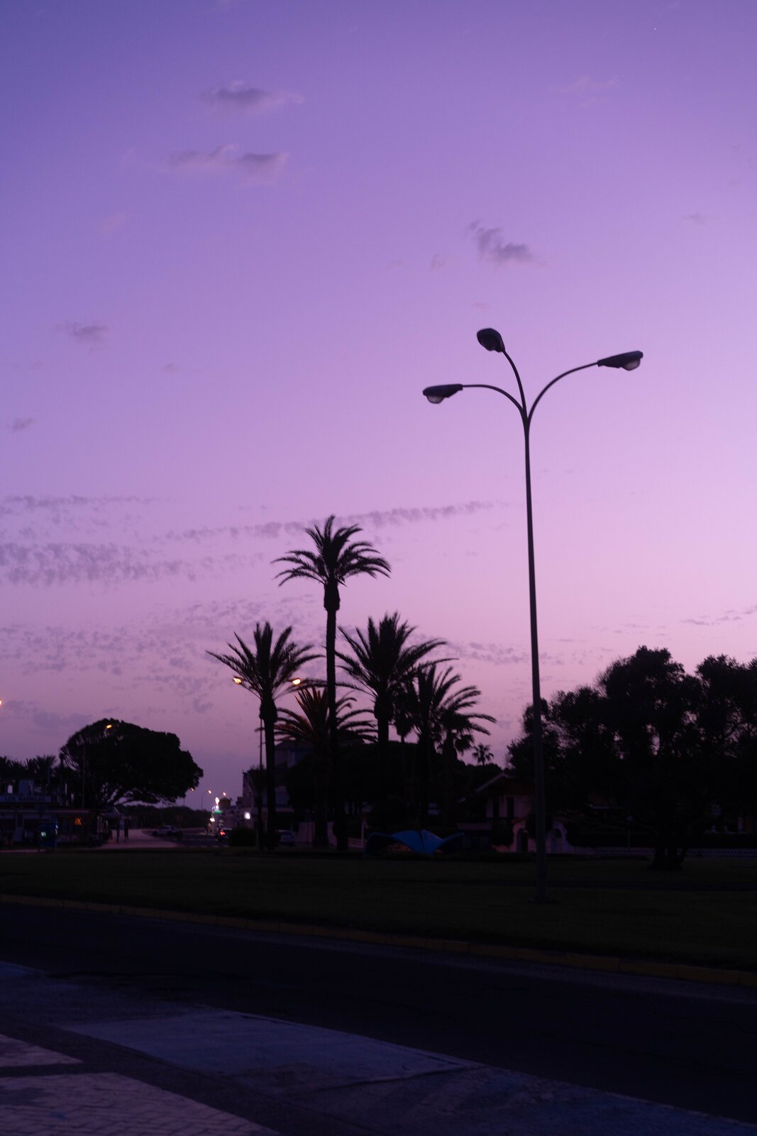 Purple sky over palms and a lamp post