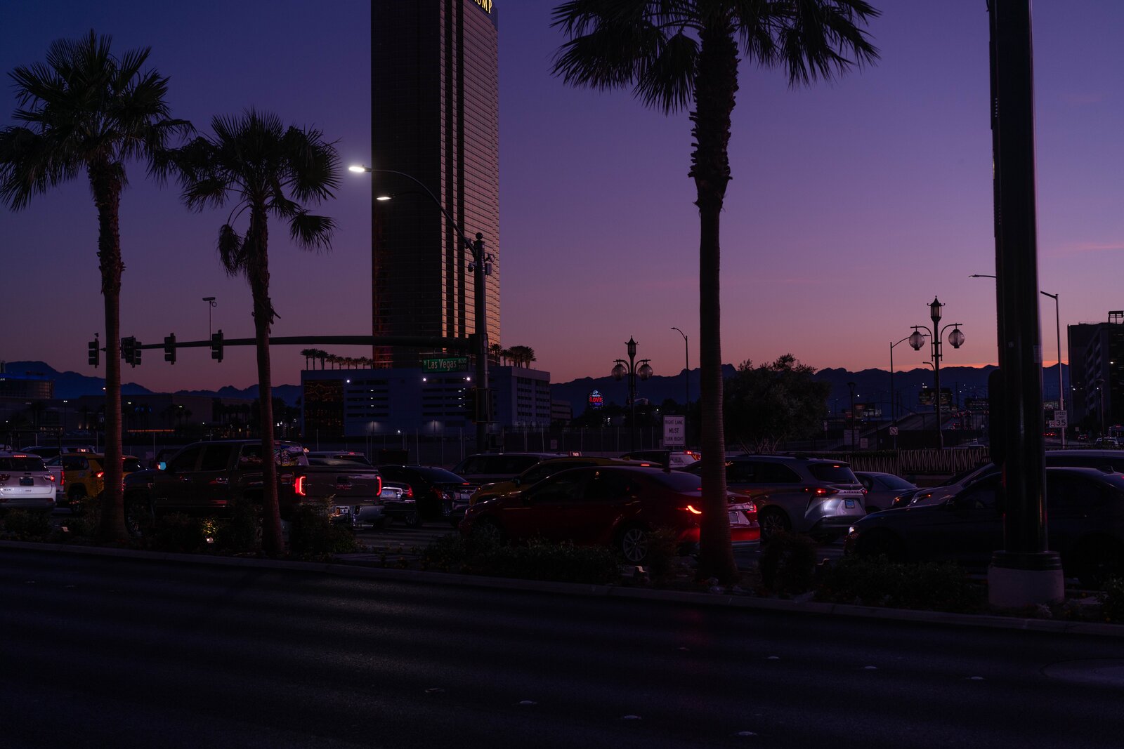 Palm silhouettes at sunset over the Strip